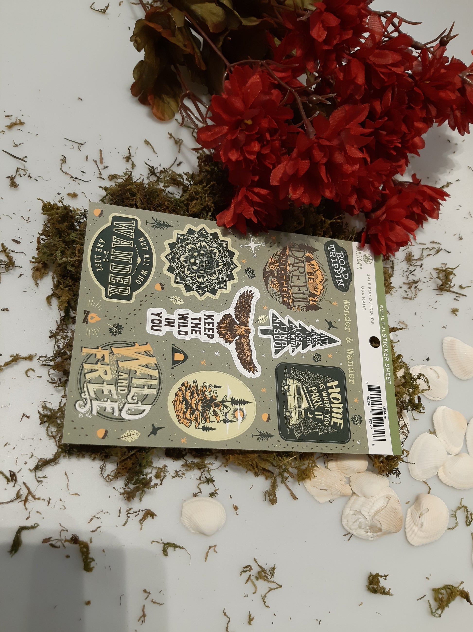 Vinyl Sticker Waterproof Indoor Outdoor Canada Canadian Shop Northern Ontario Art Stickers Stickersheet sheet binder locker waterbottle bike vehicle durable mothers fathers day gift animal animals eagle trees earth wild free wander wonder outdoors