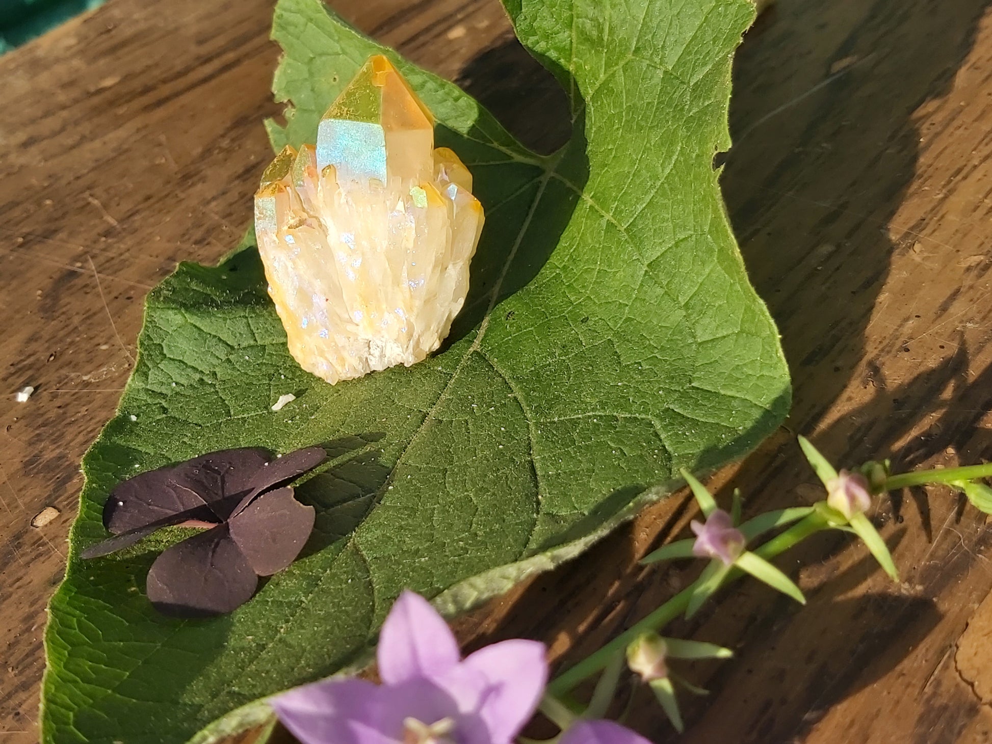 Yellow aura quartz crystal , giftshop  gifts , cluster, gemstone, semiprecious, Canadian, Canada, Ontario, gifts,  birthday, witch, for her, for him, for kids, for teens, quartz, yellow, titanium aura quartz, solar plexus chakra