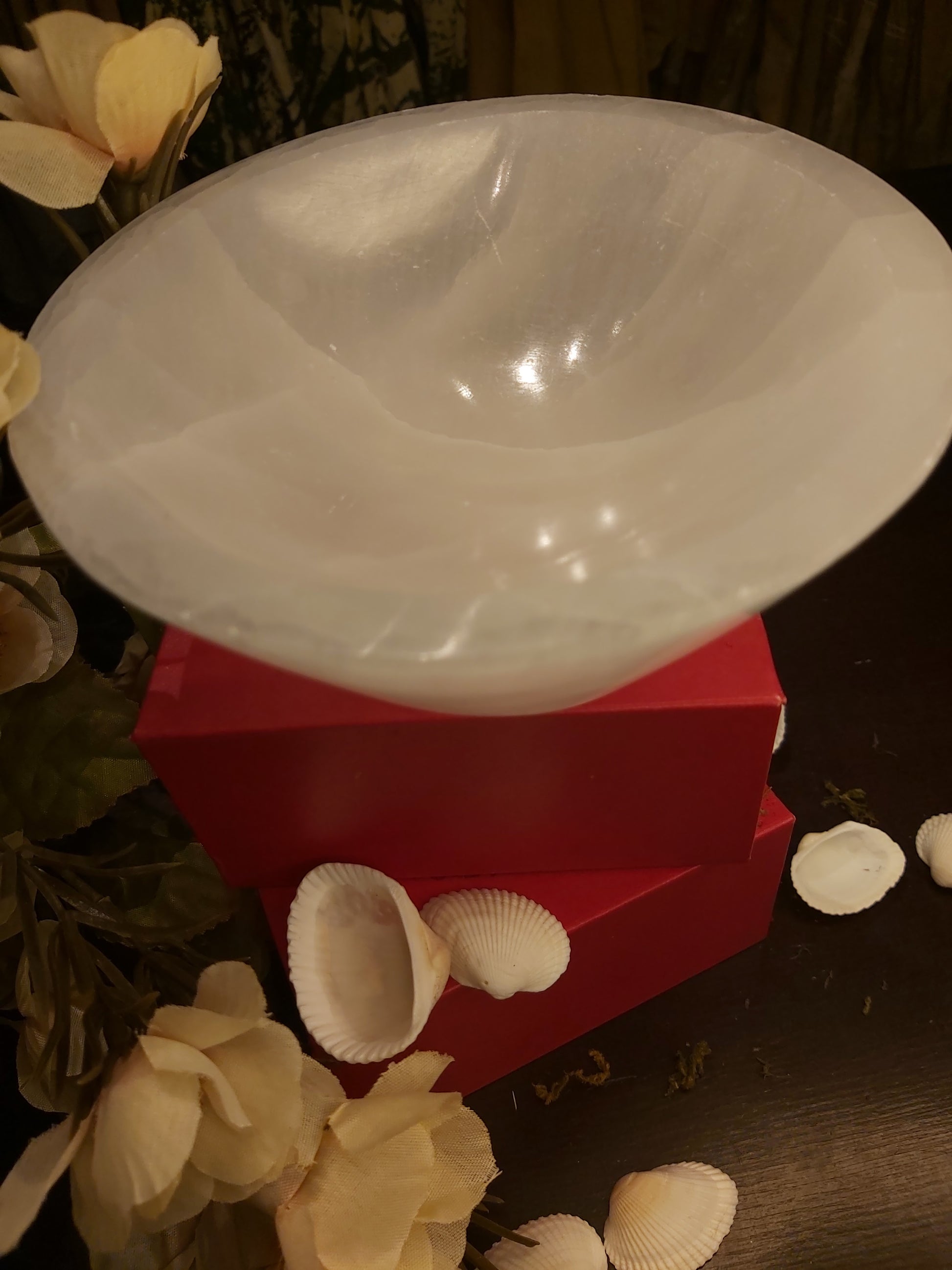 Selenite, selenite bowl, jewlery dish, selenite dish, large bowl, spirituality gifts, spirituality gift, witchy gifts, bowls, crystal bowl, crystal bowls, Canadian, Canada, gift, giftshop, gift shop, artfelt, beautiful, for her, for him  for them