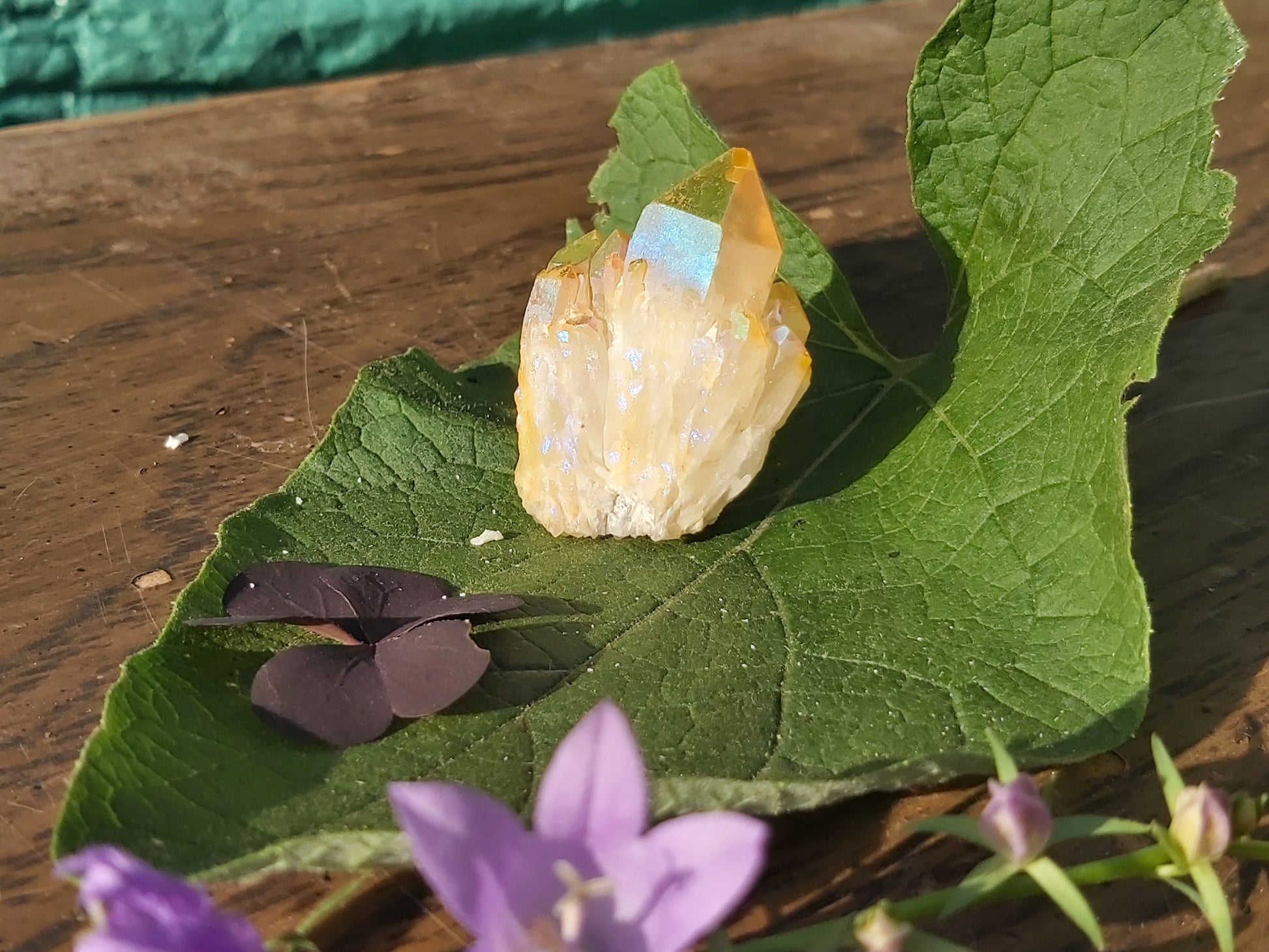 Yellow aura quartz crystal , giftshop  gifts , cluster, gemstone, semiprecious, Canadian, Canada, Ontario, gifts,  birthday, witch, for her, for him, for kids, for teens, quartz, yellow, titanium aura quartz, solar plexus chakra