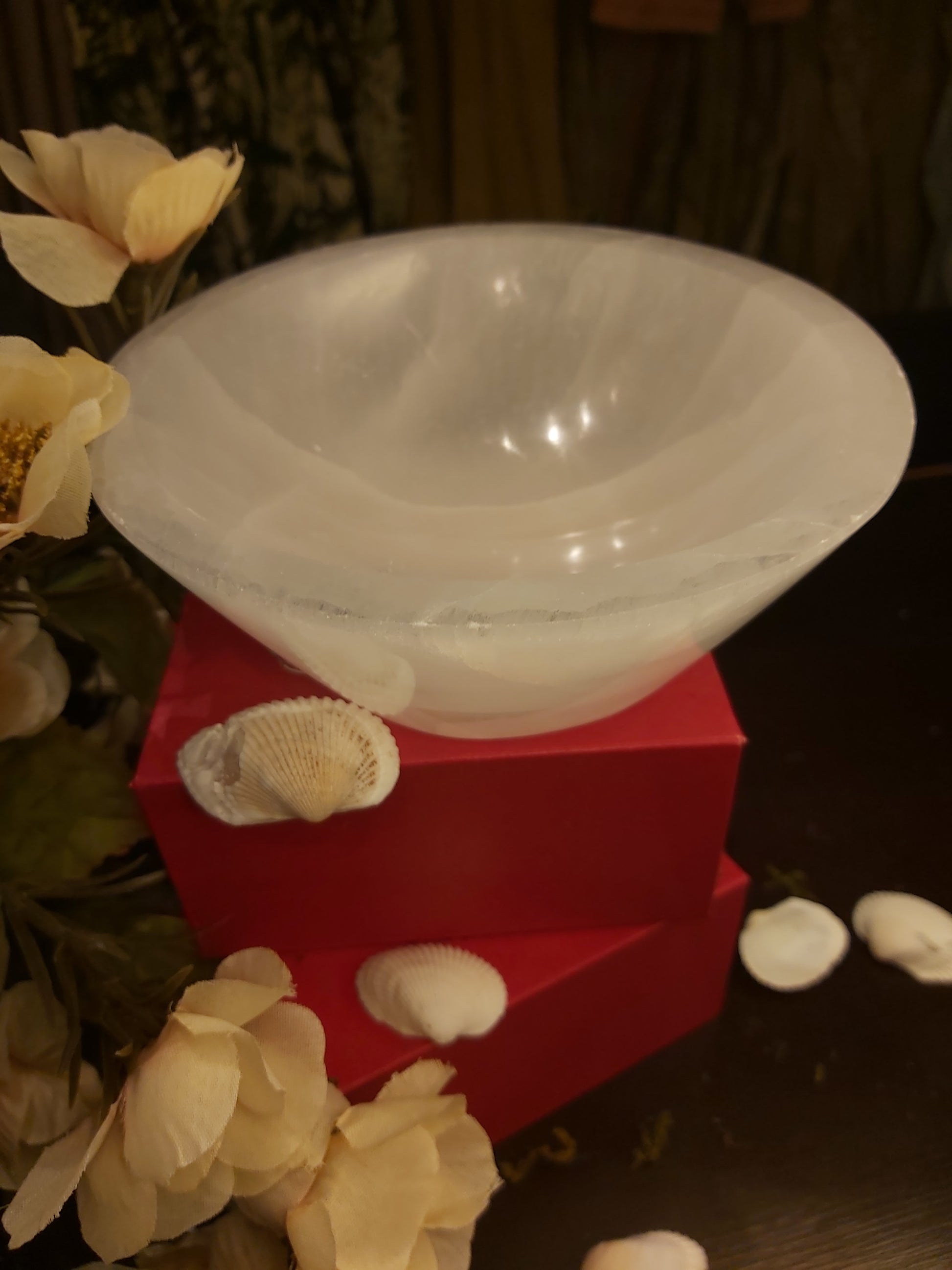 Selenite, selenite bowl, jewlery dish, selenite dish, large bowl, spirituality gifts, spirituality gift, witchy gifts, bowls, crystal bowl, crystal bowls, Canadian, Canada, gift, giftshop, gift shop, artfelt, beautiful, for her, for him  for them